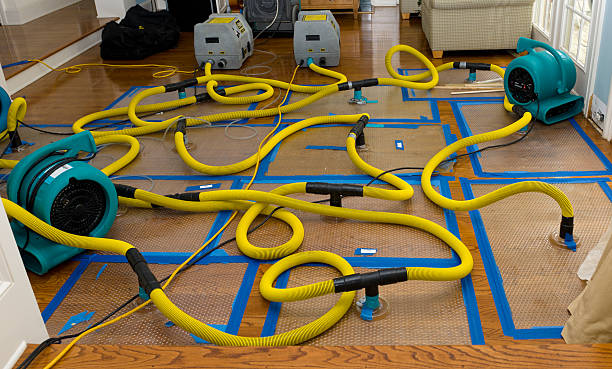 Professional Basement Flood Cleanup technician working in Clay Center, OH
